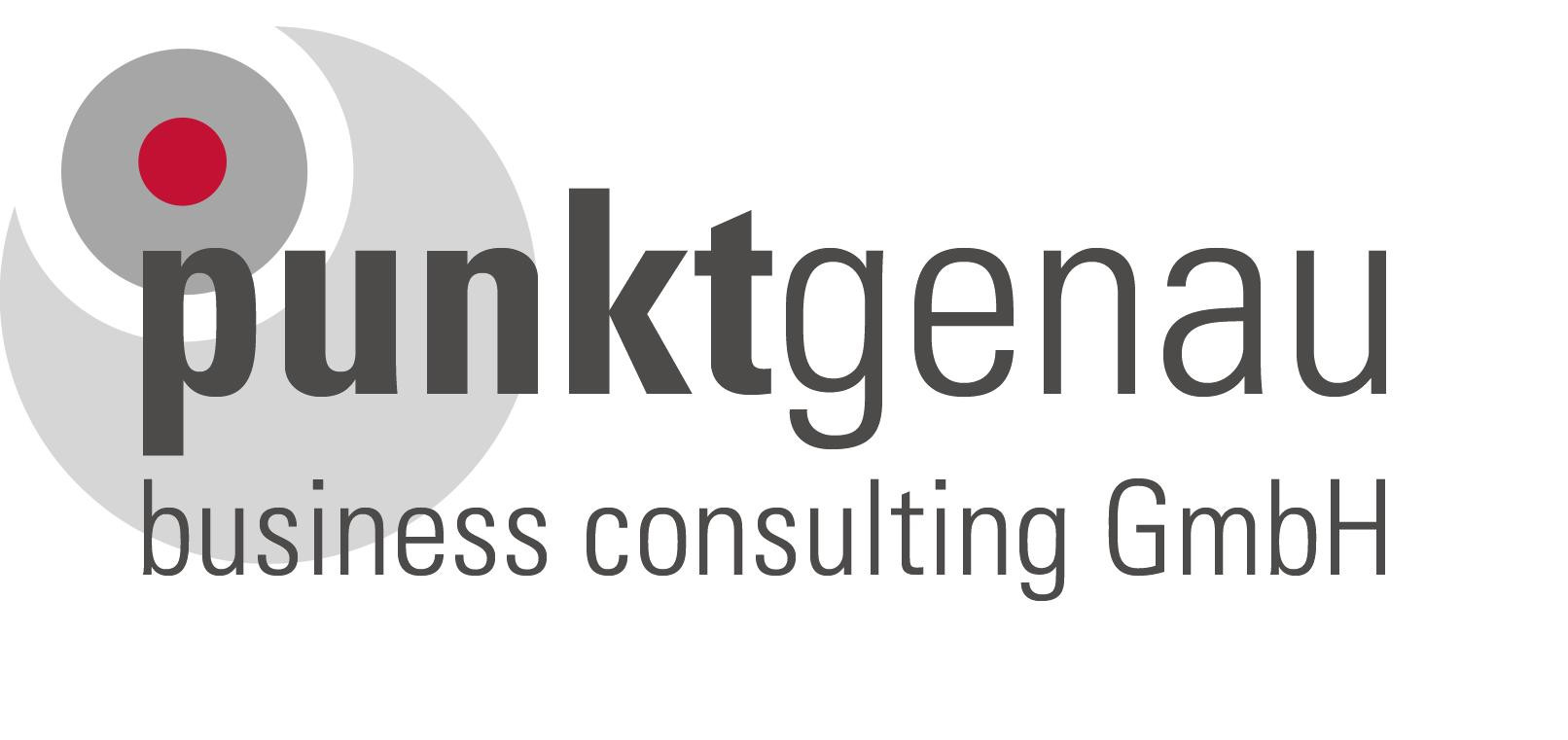 punktgenau Business Consulting GmbH